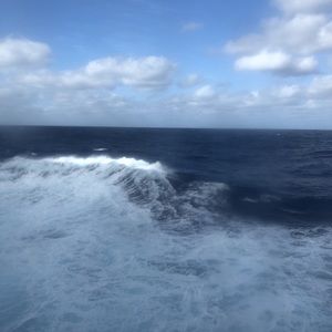 Meet your Posher, Frances